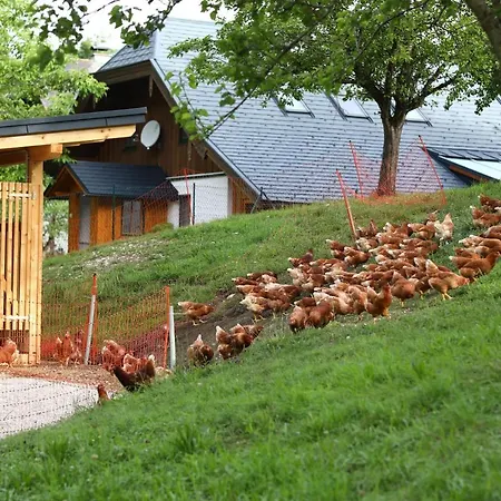 Apartmán Attwengerhof *