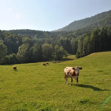 Attwengerhof *