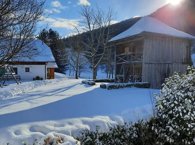 Attwengerhof Daire Traunkirchen