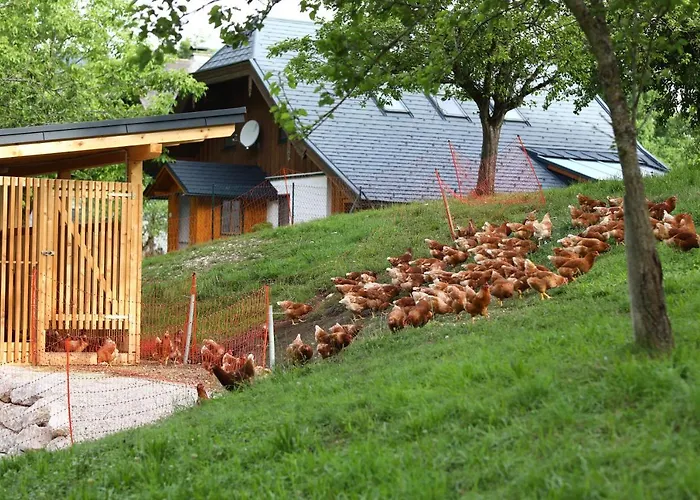 Daire Attwengerhof *