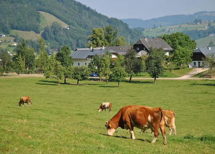 Daire Attwengerhof Traunkirchen