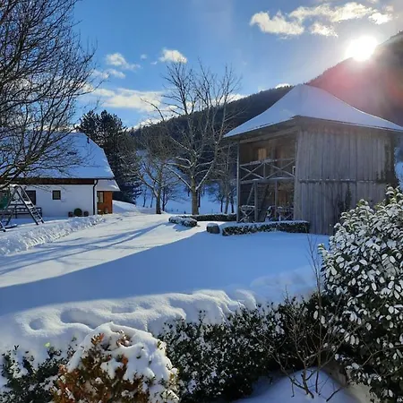 Attwengerhof Apartamento Traunkirchen