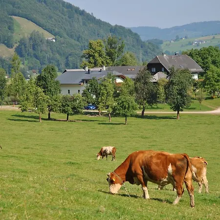 Apartamento Attwengerhof Traunkirchen